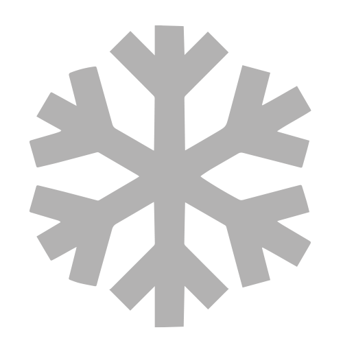 Winterdienst Winterdienst