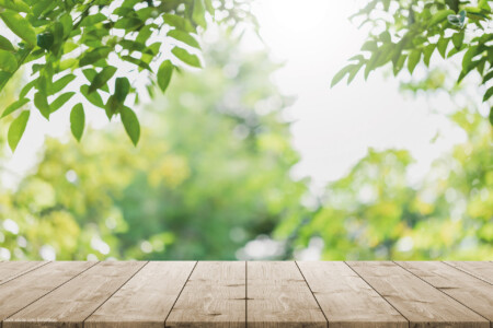 Holztisch mit Blätterdach im Hintergrund